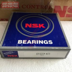 Bearing 6313ZZCM