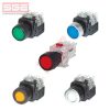 Button Switch KDX-PMV21R