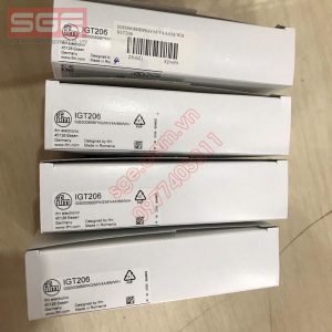 IGT206