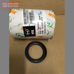 Oil Seal TC 60X80X10